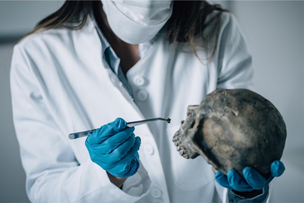 Odontologia Legal se consolida e se expande como campo de atuação para o cirurgião-dentista Mês do Dentista A área já é prevista na lei que regulamenta a profissão, mas o trabalho dos precursores da Odontologia Legal na USP, na Unicamp e nas Federais do Rio de Janeiro e de Minas Gerais contribuiu para que hoje o Conselho Federal de Odontologia (CFO) tenha mais de 800 especialistas registrados.