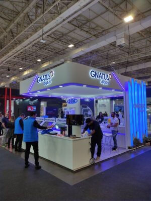 Gnatus